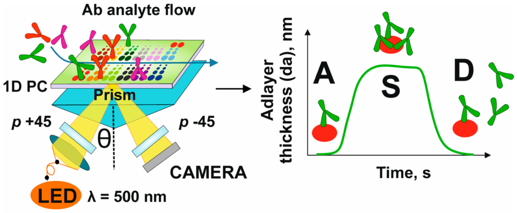 freebiowave_figure1