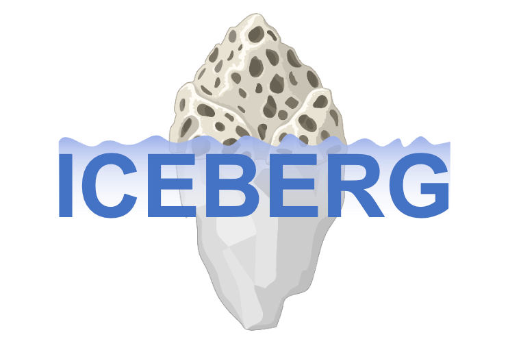 Logo of the ICEBERG, copyright Pierre GUIHARD